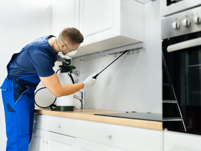 About QPC West Bountiful - quarterly pest control experts in West Bountiful